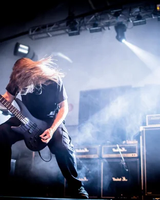 PeelingFlesh Houston