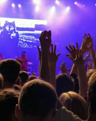 Endless Summer - Beach Boys Tribute Spring