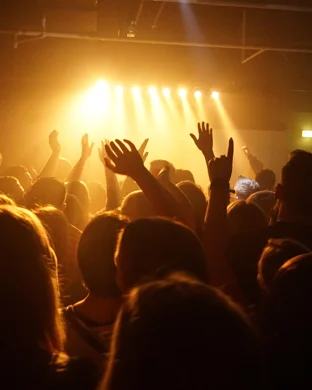 Silent Theory Houston