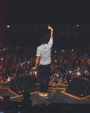 Nine Vicious Houston