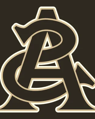 Arizona State Sun Devils Houston