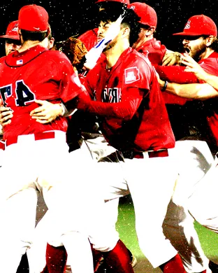 Arizona Wildcats Baseball Tucson