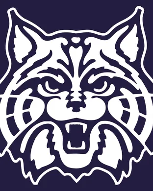 Arizona Wildcats Tucson