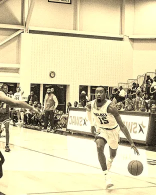 Arkansas Baptist College Buffaloes Houston