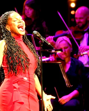 Audra Mcdonald Houston