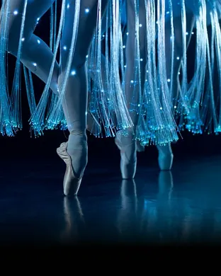 Ballet Of Lights Houston
