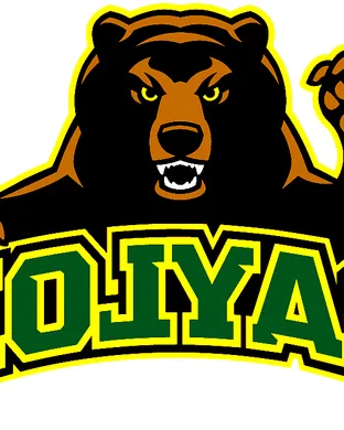Baylor Bears Football Houston