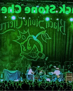 Black Stone Cherry Houston