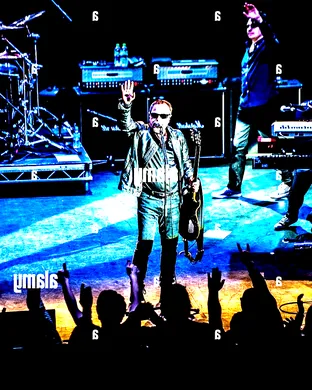 Blue Oyster Cult Stafford