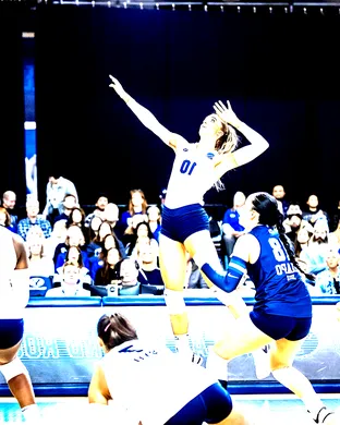 Byu Cougars Volleyball Houston