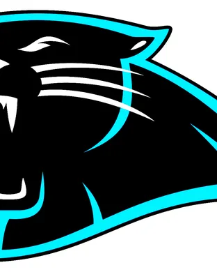 NFL Preseason: Carolina Panthers vs. Houston Texans 