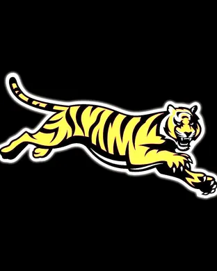 Cincinnati Bengals Houston