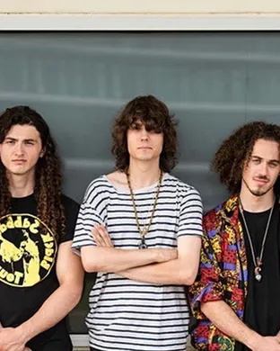 Dogs In A Pile Houston