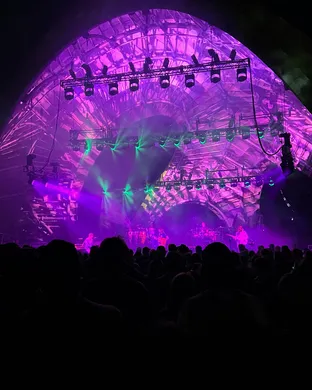 Goose - The Band Houston