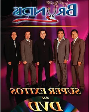 Grupo Bryndis Houston