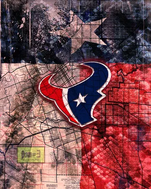 Houston Texans Houston