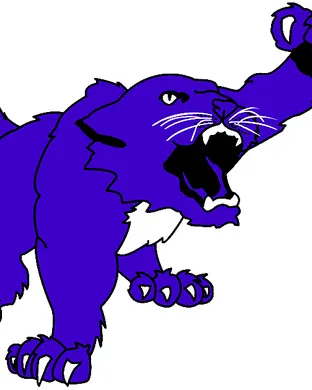 Kansas State Wildcats Manhattan