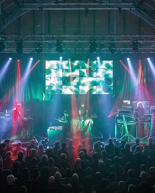 Kontravoid Houston