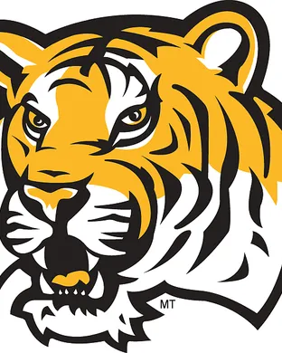 LSU Tigers Houston