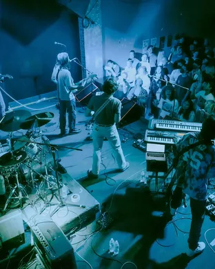 Post Animal Houston