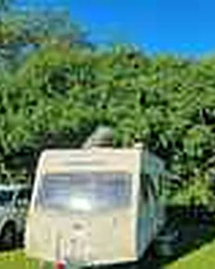 Rice Owls Baseball Houston