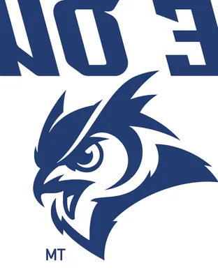 Rice Owls Football Houston