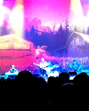 Tyler Childers Houston