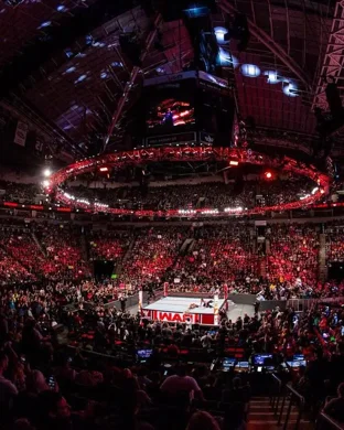 WWE: Survivor Series