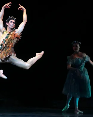 Ballet of Lights: Sleeping Beauty in a Sparkling Show