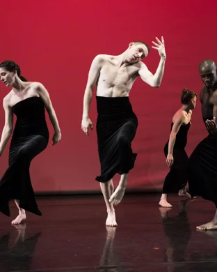 Houston Contemporary Dance Company: Toward Joy