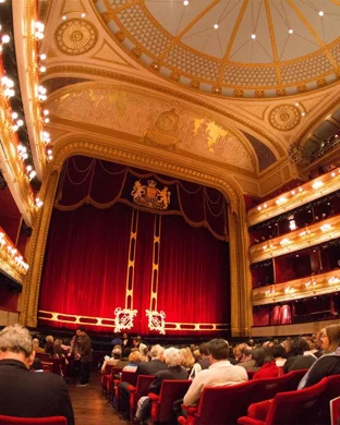 The Barber of Seville