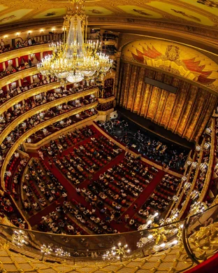 Houston Grand Opera: Concert of Arias